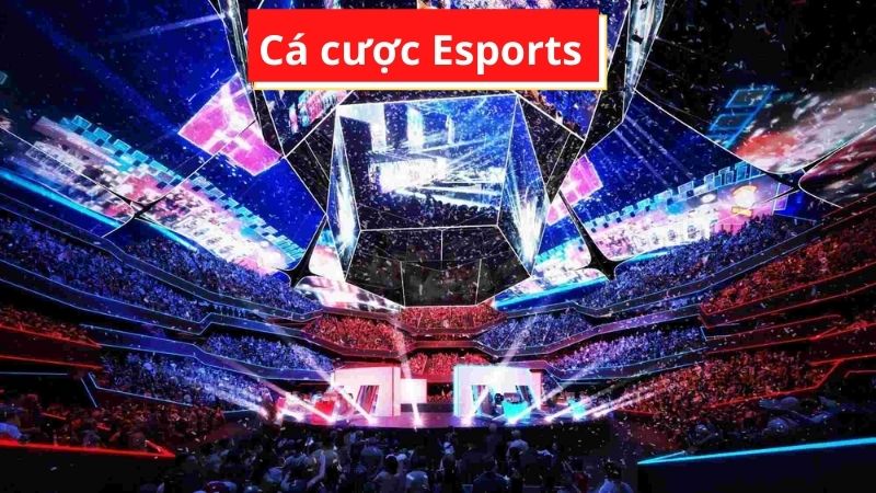 Esports là gì?