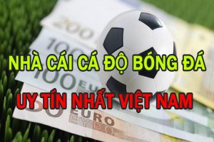 trang cá độ bóng đá uy tín