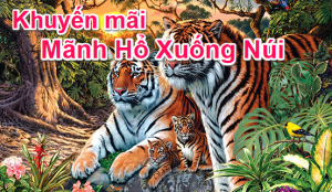 khuyến mãi sodo66