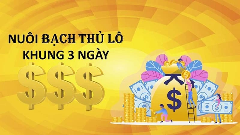 Nuôi lô khung 3 ngày