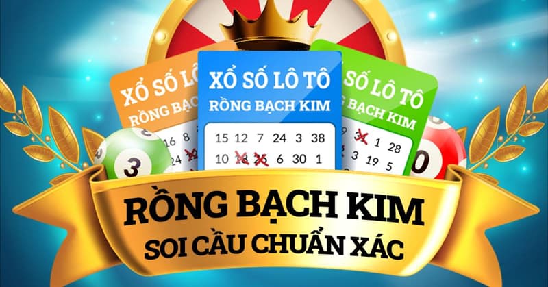 Kinh nghiệm rồng bạch kim